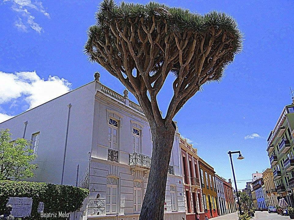 Esperanto Apartment La Laguna (Tenerife)